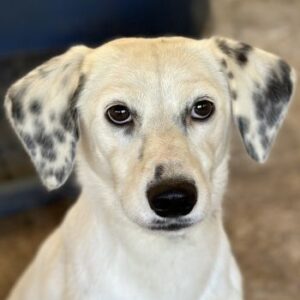 Evander – geb. ca. 10/2024