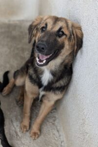 Hilda – geb. ca. 04/2025
