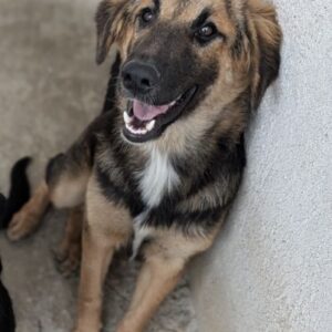 Hilda – geb. ca. 04/2025