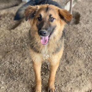 Hilda – geb. ca. 04/2025