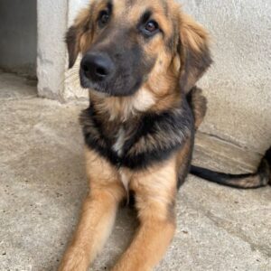 Hilda – geb. ca. 04/2025