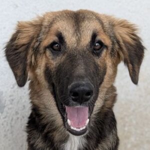 Hilda – geb. ca. 04/2025