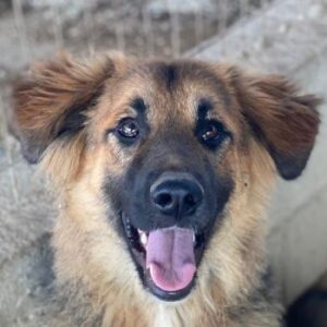 Hilda – geb. ca. 04/2025