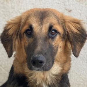 Hilda – geb. ca. 04/2025