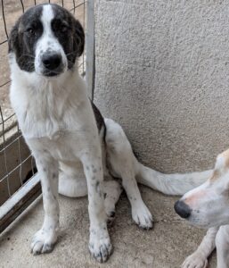 Maisha – geb. ca. 04/2025