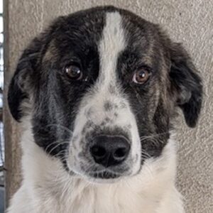 Maisha – geb. ca. 04/2025
