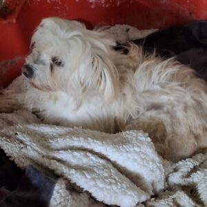 Agnes – geb. ca. 11/2022