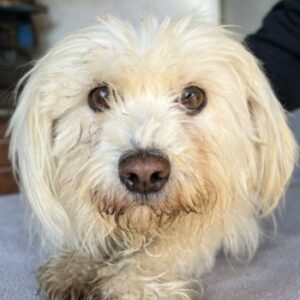 Agnes – geb. ca. 11/2022