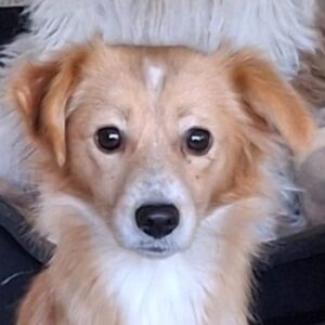 Alani – geb. ca. 05/2024