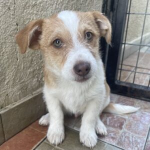 Alban – geb. ca. 08/2025