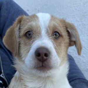 Alban – geb. ca. 08/2025