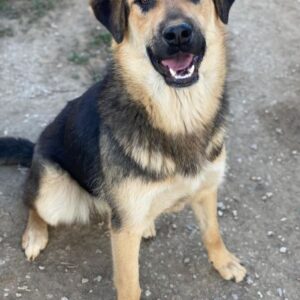 Elphaba – geb. ca. 07/2025