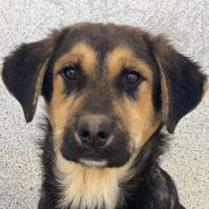 Elphaba – geb. ca. 07/2025