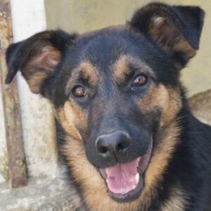 Enid – geb. ca. 06/2025