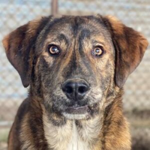 Fiyero – geb. ca. 07/2025