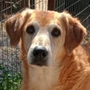 Flower – geb. ca. 06/2015