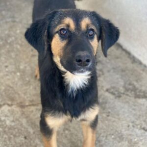 Glinda – geb. ca. 07/2025