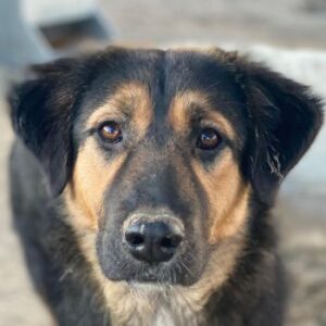 Glinda – geb. ca. 07/2025