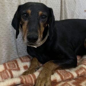 Neria – geb. ca. 11/2020