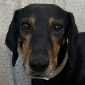 Neria – geb. ca. 11/2020