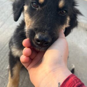 Philea-Noemi – geb. ca. 08/2025