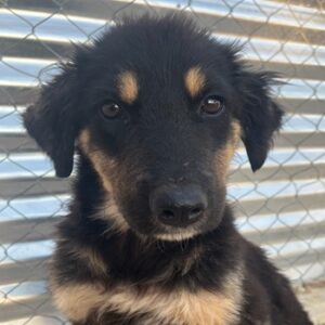 Philea-Noemi – geb. ca. 08/2025