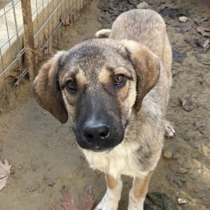 Ryn – geb. ca. 06/2025