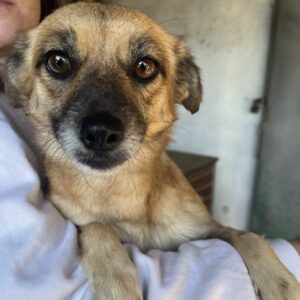 Sana – geb. ca. 11/2023