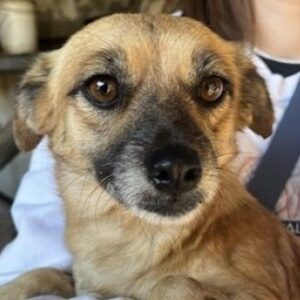 Sana – geb. ca. 11/2023