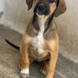 Tayachen – geb. ca. 07/2025