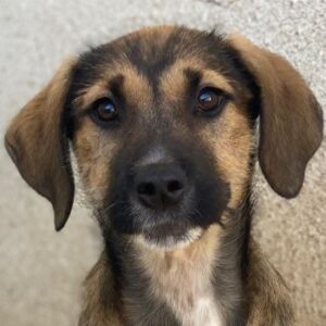 Tayachen – geb. ca. 07/2025