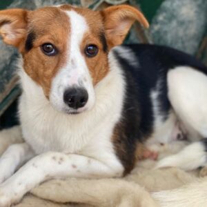 Freydis – geb. ca. 07/2025