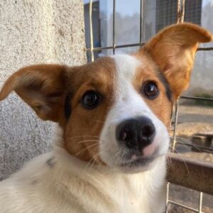 Freydis – geb. ca. 07/2025