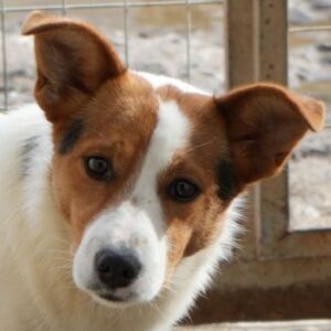 Freydis – geb. ca. 07/2025