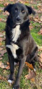 Glorietta – geb. ca. 07/2025