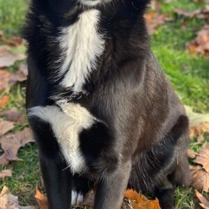 Glorietta – geb. ca. 07/2025