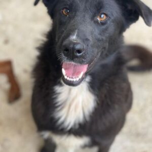 Glorietta – geb. ca. 07/2025