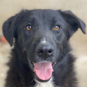 Glorietta – geb. ca. 07/2025