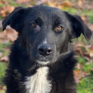 Glorietta – geb. ca. 07/2025