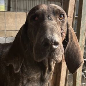 Granny – geb. ca. 01/2018