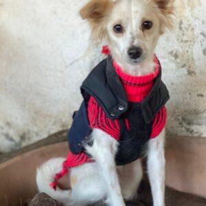 Isara – geb. ca. 07/2024