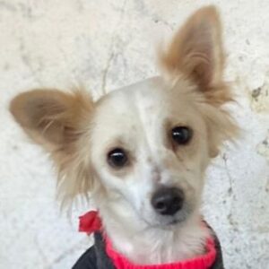 Isara – geb. ca. 07/2024