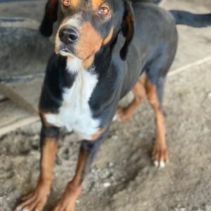 Kabelo – geb. ca. 04/2024