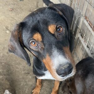 Kabelo – geb. ca. 04/2024