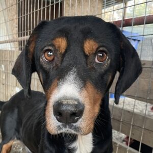 Kabelo – geb. ca. 04/2024