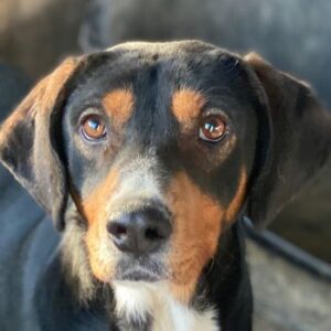 Kabelo – geb. ca. 04/2024