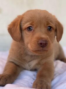 Kea – geb. ca. 10/2025