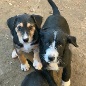 Kunigunde – geb. ca. 09/2025