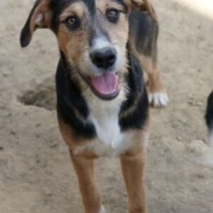 Kunigunde – geb. ca. 09/2025