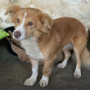 Novalis – geb. ca. 07/2023